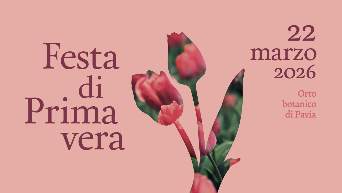 Primavera